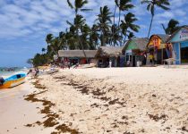 How to Book the Cheapest Flight from New York to Punta Cana