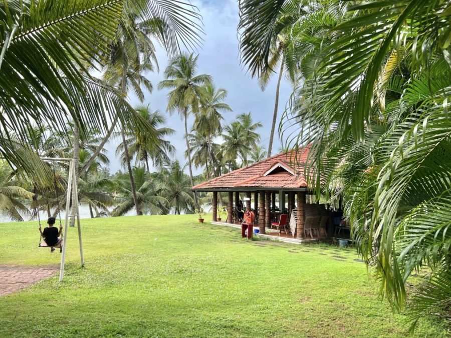 Where Should Tourists go in Kochi? Where should I go and stay in Kochi?