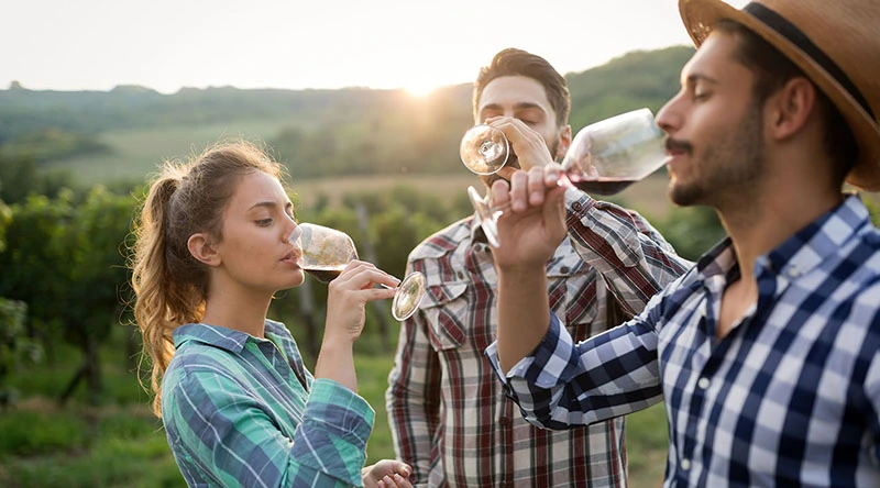 Fun for the Whole Family Fun for the Whole Family